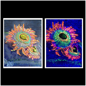 Salt Water Coral, 8 inch x 10 inch dichroic glass art panel that changes under black light