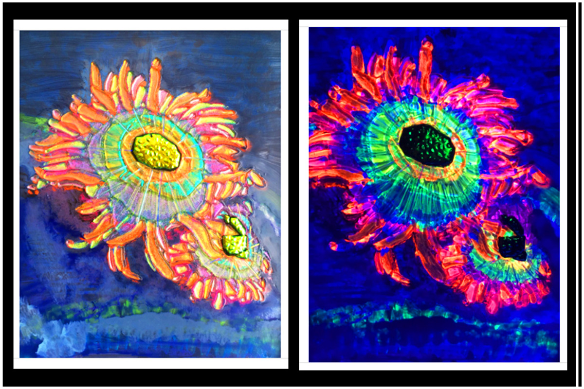 Salt Water Coral with Glow-in-the-Dark Accents