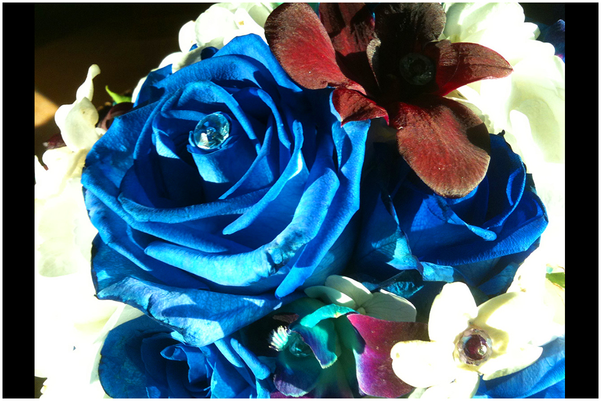 Close-up of Wedding Bouquet with Blue Roses and Orchids