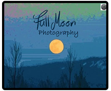 Website created by Georgia Novotny Designs