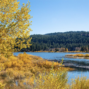 Hidden Tahoe shoreline